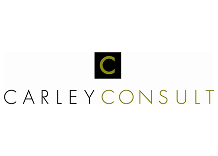 Carley Consult