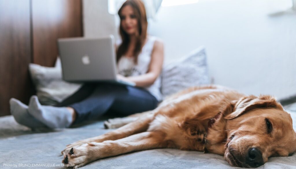 The '46% club' driving performance through homeworking 1 bruno emmanuelle azsk 6IMT3I unsplash