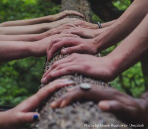 Lost colleague connection - what is the impact?